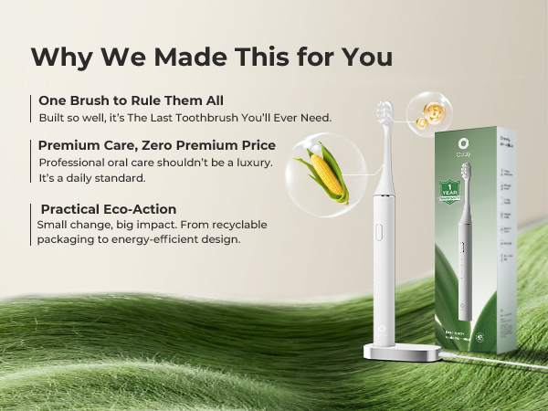 sonic toothbrush