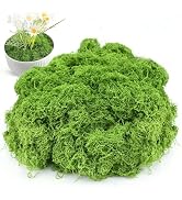 Hlmsyurx 7.05 OZ Fake Moss for Potted Plants, Artificial Green Moss Decor for DIY Table Centerpie...