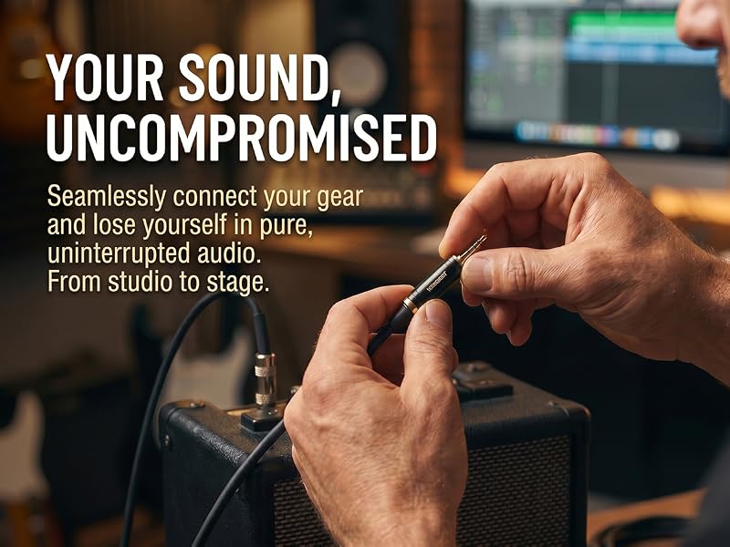 3.5mm to 1/4 inch Stereo Audio Adapter