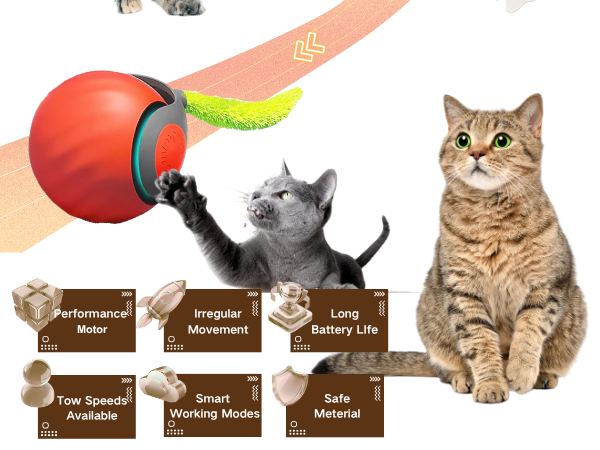 cat interactive toys