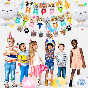 cat themed birthday party decorations