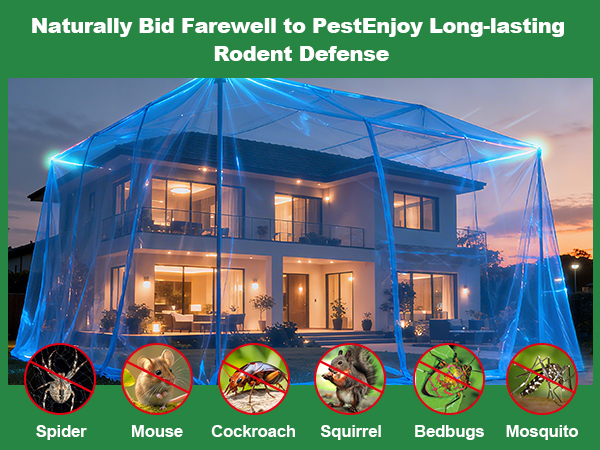 Pest Control