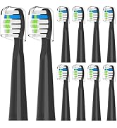 Replacement Toothbrush Heads Compatible with Bitvae D2 Electric Toothbrush, Black, 10 Pack