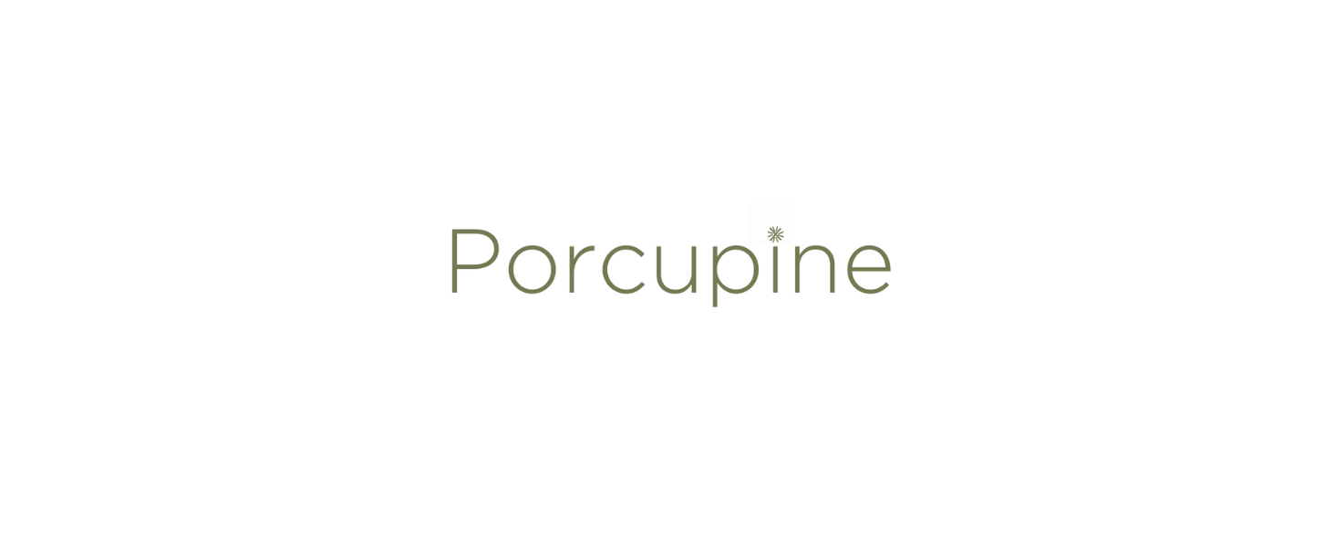 porcupine