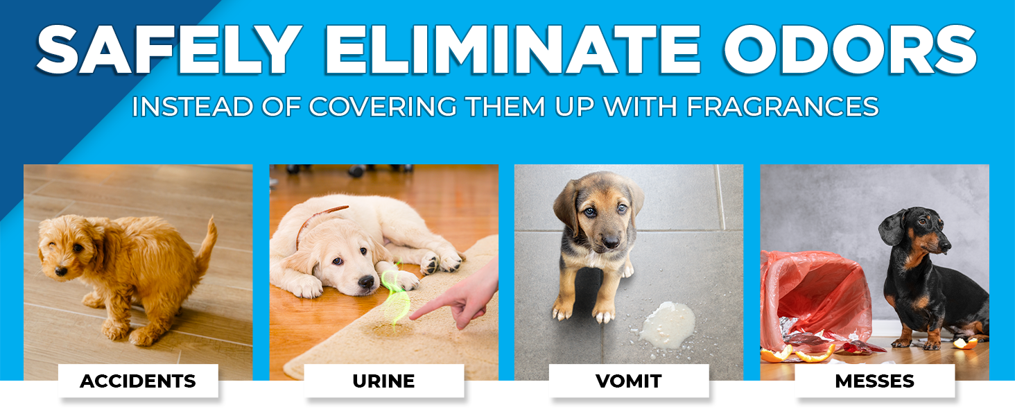 Safely Eliminate Odors