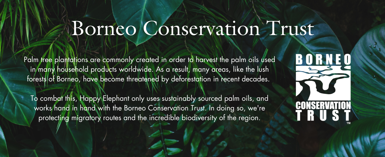 Borneo Conservation Trust