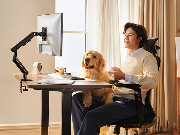 single monitor desk mount