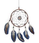 WisePoint Blue Dream Catcher, Handmade Rattan Large Dreamcatcher Ornaments with Feathers and ABS ...