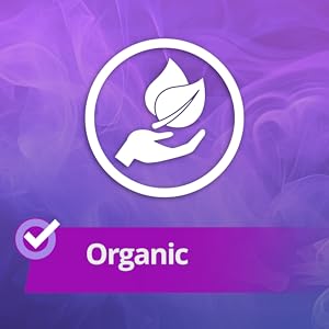 smoke machine for parties outdoor fogger water based fog machine halloween smoke machine fog