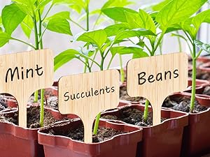 Bamboo Plant Labels
