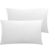 NTBAY Zippered Velvet Queen Pillowcases, 2 Pack Super Soft and Cozy Luxury Solid Color Pillow Cas...