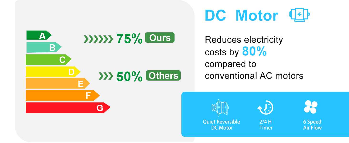 DC Motor