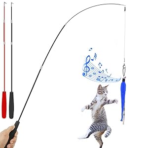 wand tease toy