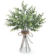 Coferset Eucalyptus Stems in Glass Vase with Faux Water, 13.7" Eucalyptus Fake Plants for Home Ba...