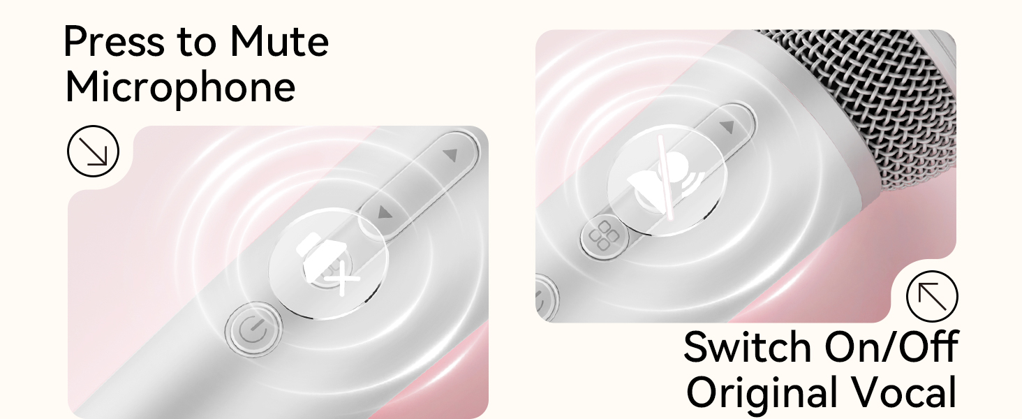 singing microphone