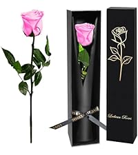 https://m.media-amazon.com/images/I/416SvqIo2IL.__AC_SR200,225___.jpg