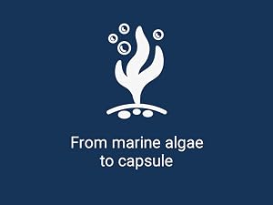 calcium tablets supplements