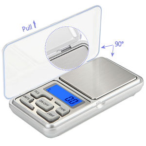 Portable scale