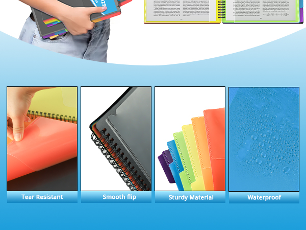 HABGP 12 Pocket Plastic folders with Pockets