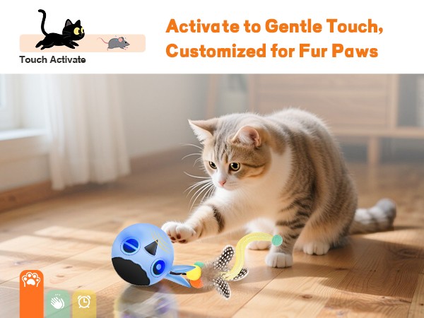 cat toys