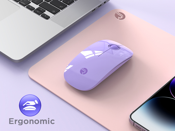 RAPIQUE R306 Bluetooth Mouse