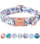 Unique style paws Dog Collar Metal Buckle Collar Gift for Small Medium Large Boys Girls Dogs