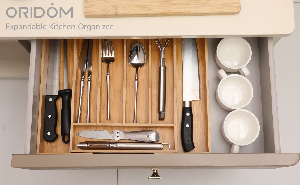 expandable kitchen organizer