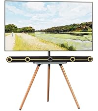 https://m.media-amazon.com/images/S/aplus-media-library-service-media/ff706c6a-2919-4278-9fc1-eeb6c5f4e68a.__AC_SR200,225___.jpg