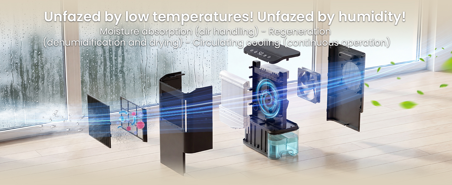 air purifier and dehumidifier combo