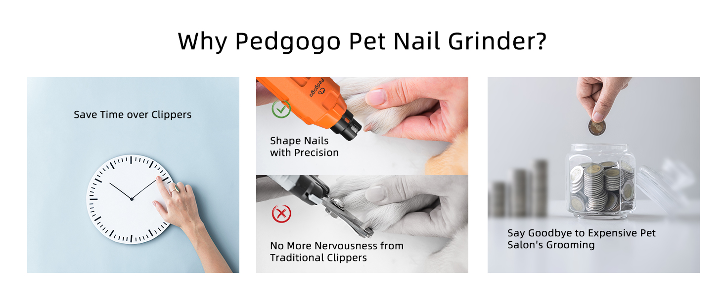 Save Time & Money by using Pedgogo