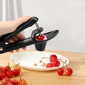 Olive Pitter Tool