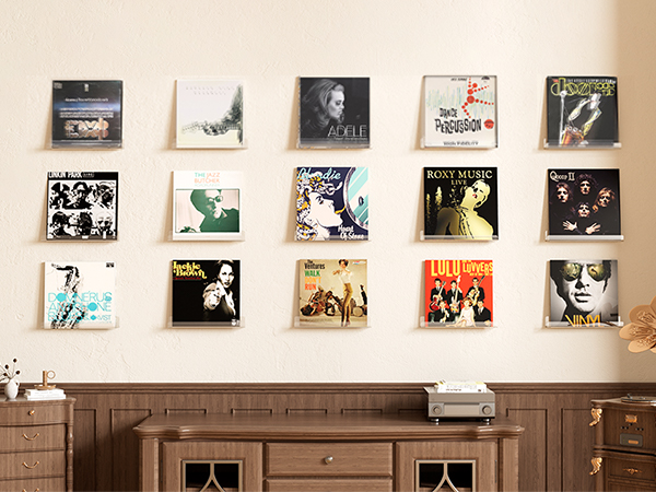 vinyl shelves