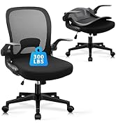 CLATINA Foldable & Folding Office Chair with Lumbar Support, Ergonomic Mesh Computer Chair with A...