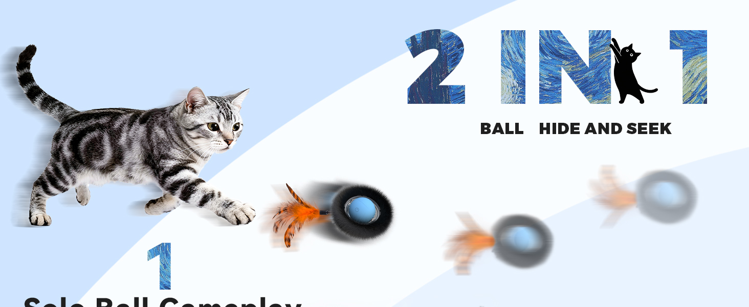 cat toys