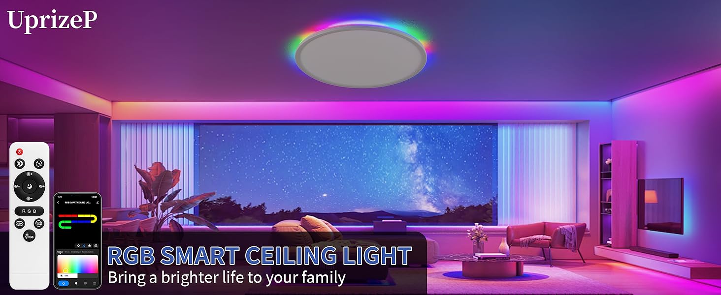 smart ceiling light