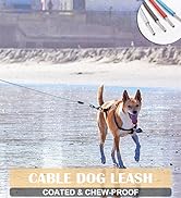 cable dog leash