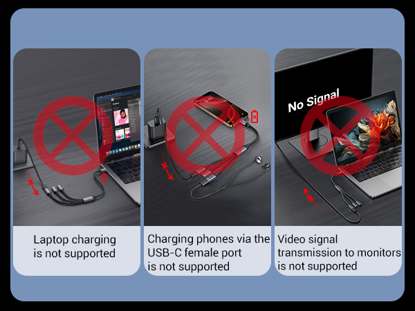 USB-C to USB-C Splitter