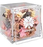 KANPRINCESS 50PCS Mini Claw Clips Small Hair Clips With Fancy Box Butterfly Claw Clips for Hair P...