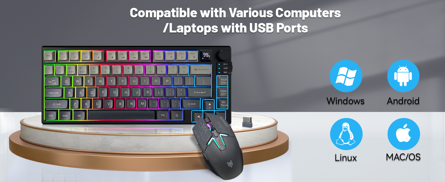 Compatible with Various Computers /Laptops with USB Ports