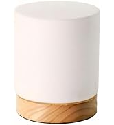 arm low glass goose neck ottlite hue leer nightstand combo crafts echo essentials sonic mouse just