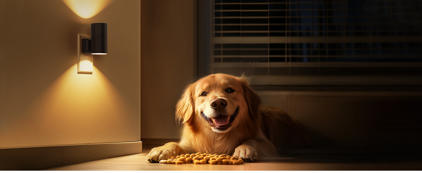 Pet-Safe night lights