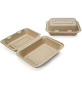 Disposable Food Containers with Lids [9