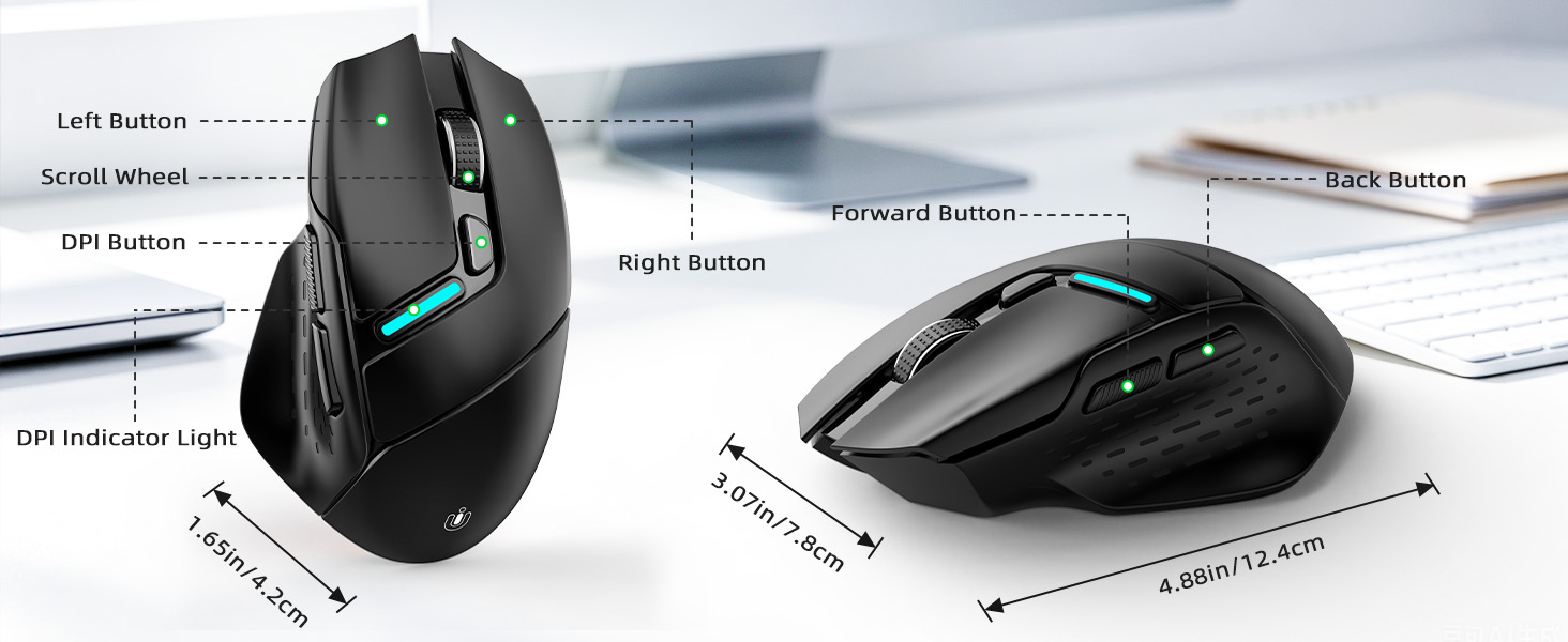 mouse