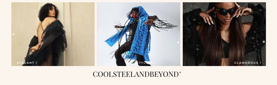 coolsteelandbeyond_model