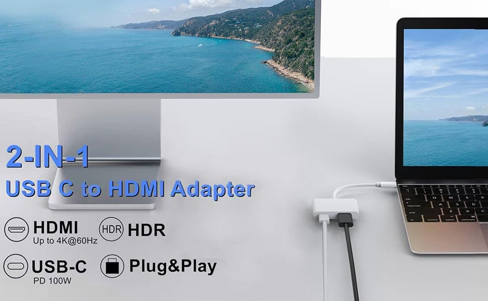 USB C to DVI