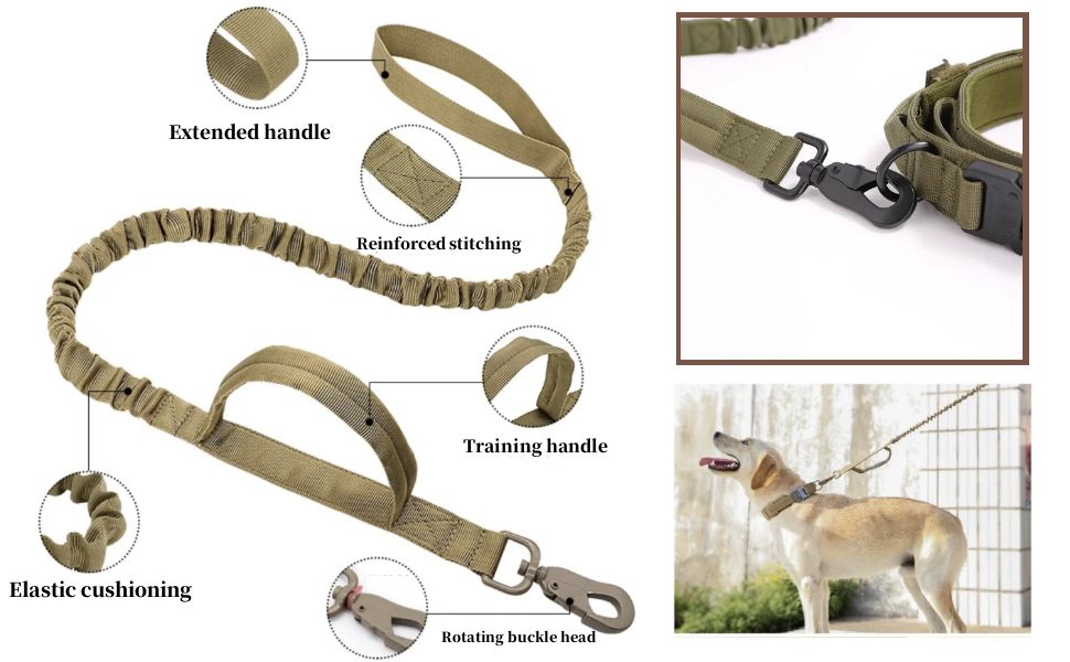 tactical dog collar
