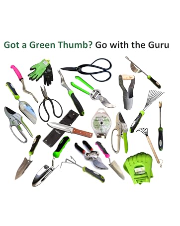 go with the guru