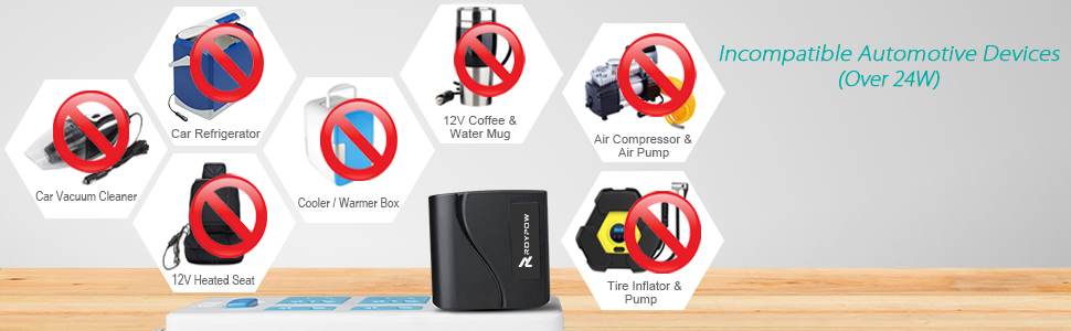 RoyPow Power Converter Transformer Adapter