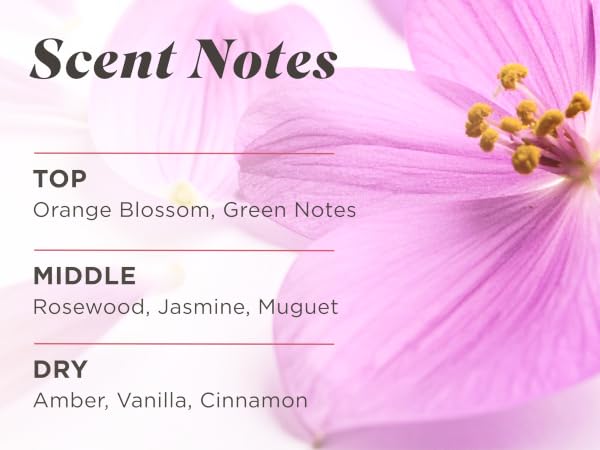 Scent Notes