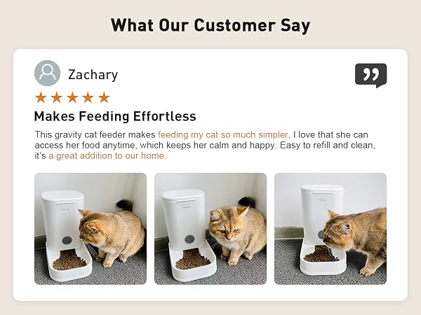 automatic cat feeder